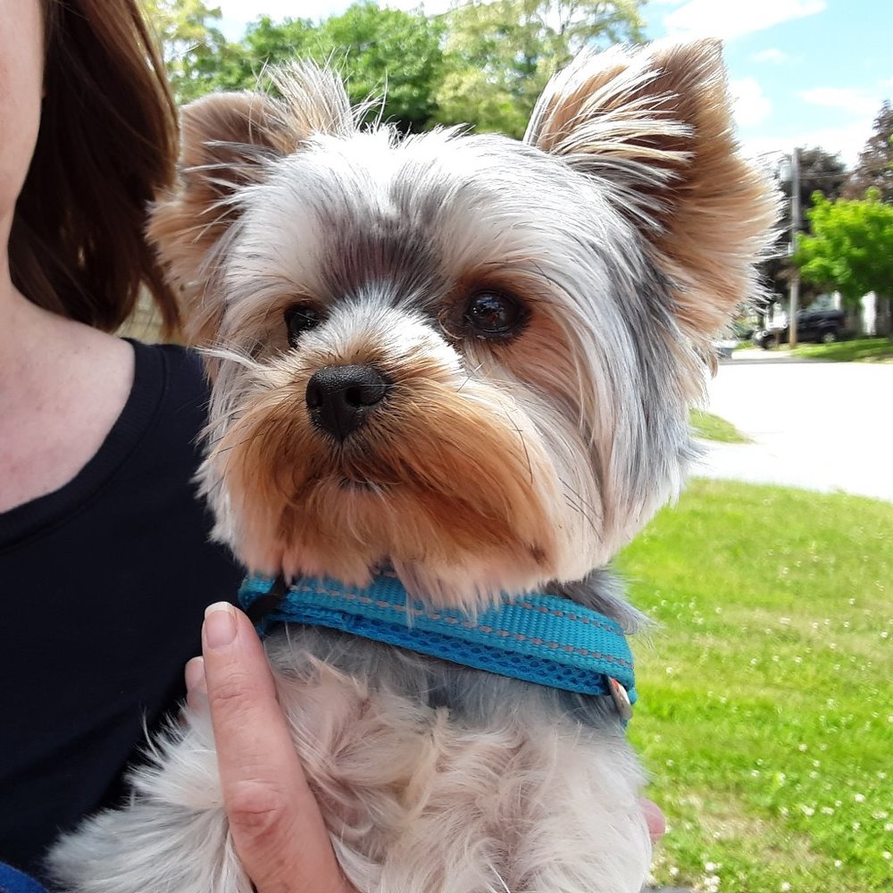 Meet your Posher:  Mimi